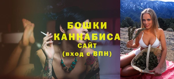 твердый Гусев