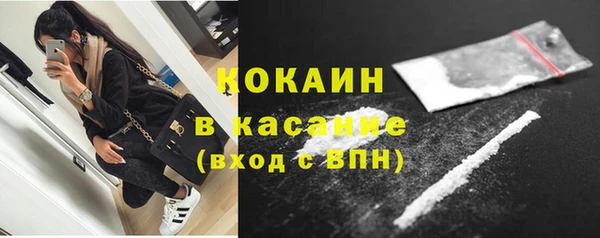 твердый Гусев