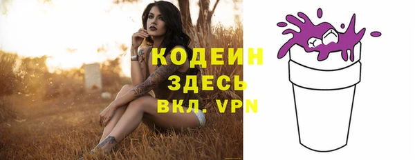 твердый Гусев