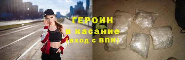 твердый Гусев
