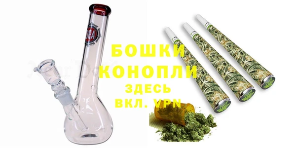 твердый Гусев