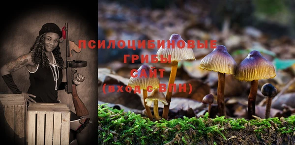твердый Гусев