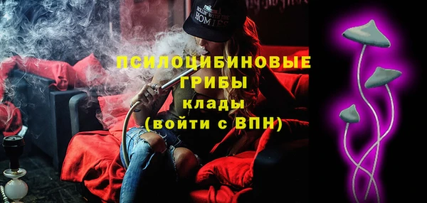 твердый Гусев