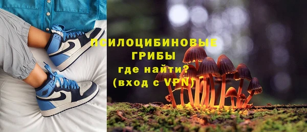 MESCALINE Гусь-Хрустальный
