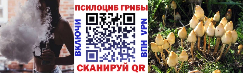 Псилоцибиновые грибы MAGIC MUSHROOMS Плавск